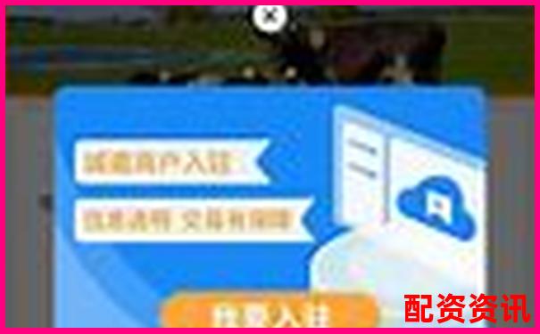 牛配網深度實測從注冊到交易全流程體驗究竟值不值得推薦-小米股票翻了多少倍