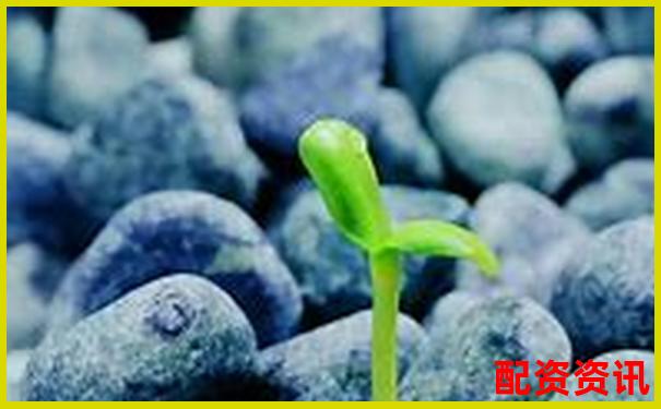 股票配資利息為何偏高影響因素深度解析-股票杠桿融資平臺(tái)有哪些
