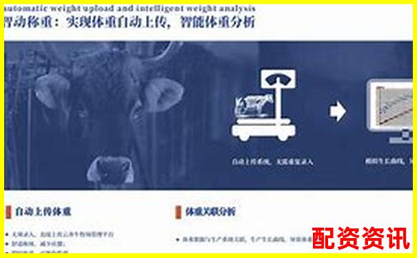 深度評(píng)測(cè)牛力配資平臺(tái)安全性穩(wěn)定性和用戶體驗(yàn)全維度解析-窮人適合哪幾個(gè)理財(cái)股票平臺(tái)