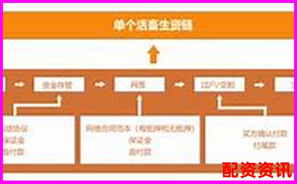 實測盈牛網(wǎng)五大核心功能看看它如何滿足投資者多樣化需求-十倍杠桿怎么算盈利能力