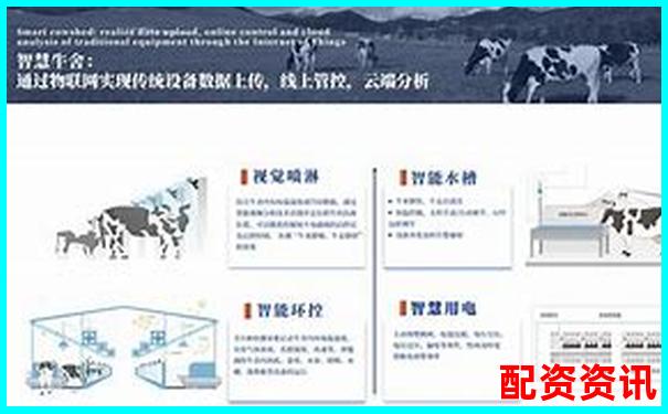 深度評測牛力配資平臺安全性穩定性和用戶體驗全維度解析