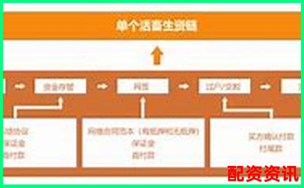 深度評(píng)測(cè)牛力配資平臺(tái)安全性穩(wěn)定性和用戶體驗(yàn)全維度解析-配資最低利息怎么算